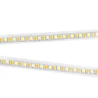 WhatsApp Image 2025-09-11 at 3.04.26 PM